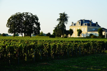 wine tour avec chauffeur privé à Bordeaux