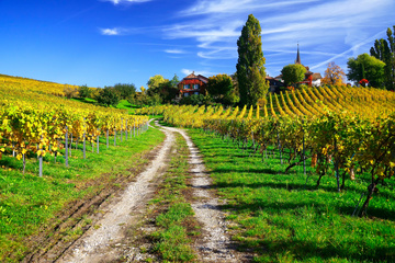 Route des vins dans le bordelais avec chauffeur privé | PRESTIGE VTC Lesparre-Médoc dans Le Médoc